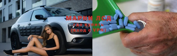 трава Белокуриха