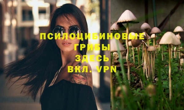 дурь Белоозёрский