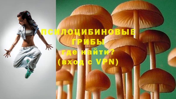 соль ск Осинники